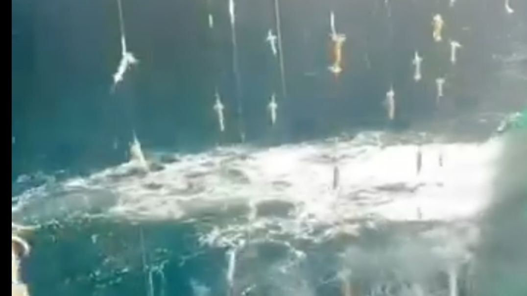 One_Squid_Fishing_Trip_Can_Make_4_MillionfypforyouKnowleFishingOceanLife
